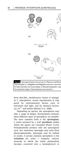 Introduction to Fungi, Third Edition