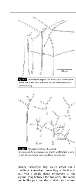 Introduction to Fungi, Third Edition