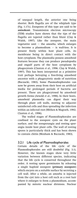 Introduction to Fungi, Third Edition