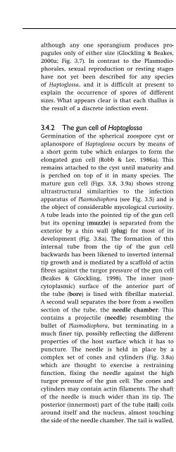 Introduction to Fungi, Third Edition