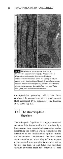 Introduction to Fungi, Third Edition