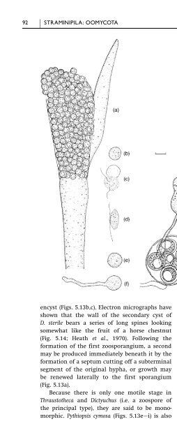 Introduction to Fungi, Third Edition