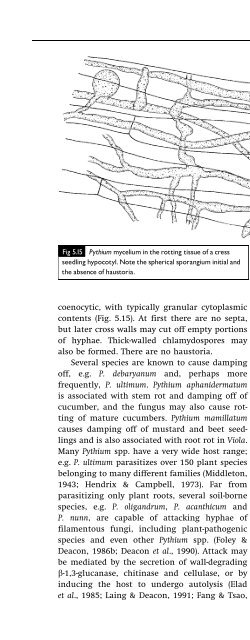 Introduction to Fungi, Third Edition