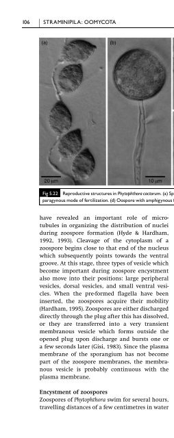 Introduction to Fungi, Third Edition