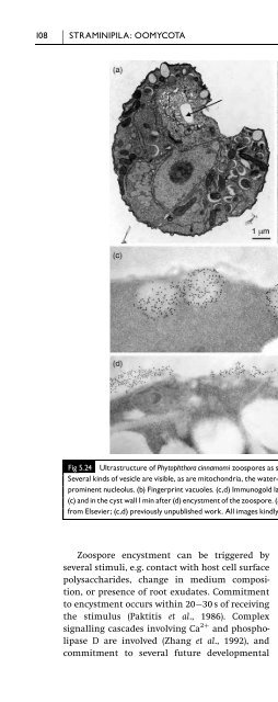 Introduction to Fungi, Third Edition