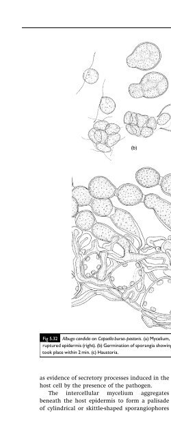 Introduction to Fungi, Third Edition