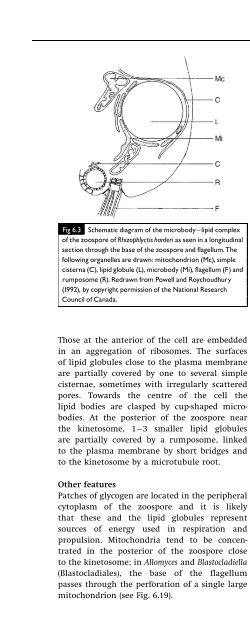 Introduction to Fungi, Third Edition