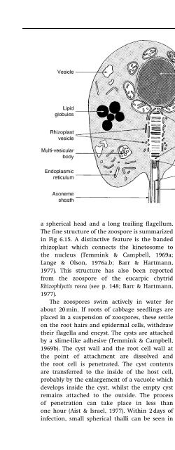 Introduction to Fungi, Third Edition