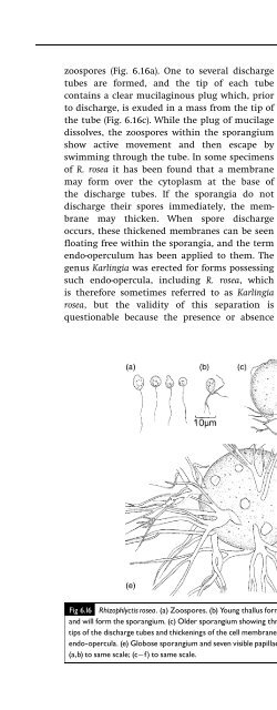 Introduction to Fungi, Third Edition