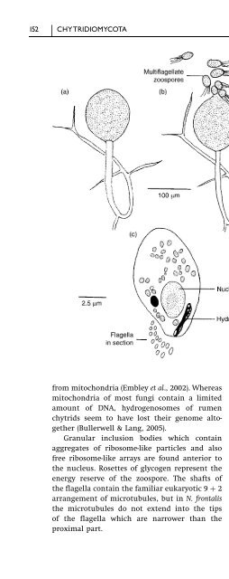 Introduction to Fungi, Third Edition