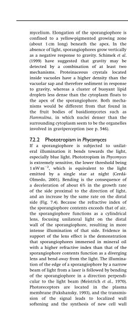 Introduction to Fungi, Third Edition