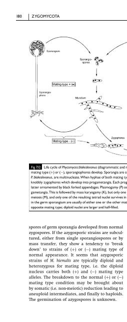 Introduction to Fungi, Third Edition