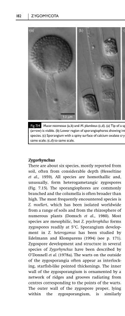 Introduction to Fungi, Third Edition