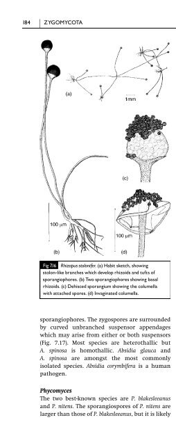 Introduction to Fungi, Third Edition