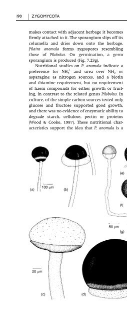 Introduction to Fungi, Third Edition