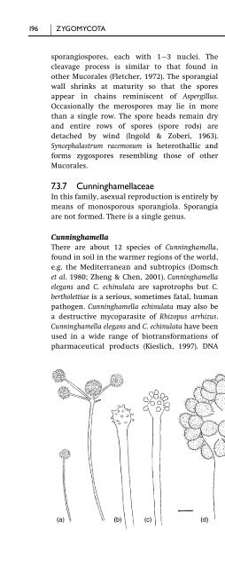 Introduction to Fungi, Third Edition