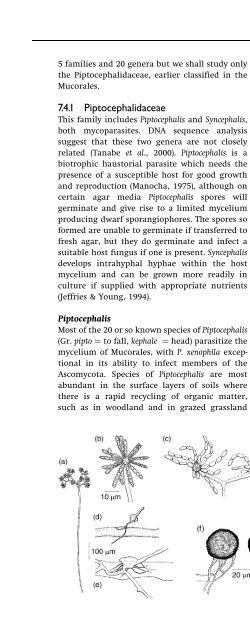 Introduction to Fungi, Third Edition