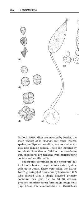 Introduction to Fungi, Third Edition