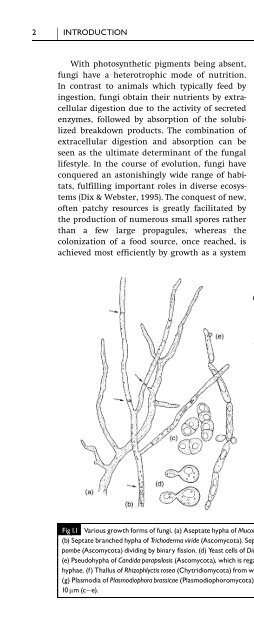 Introduction to Fungi, Third Edition