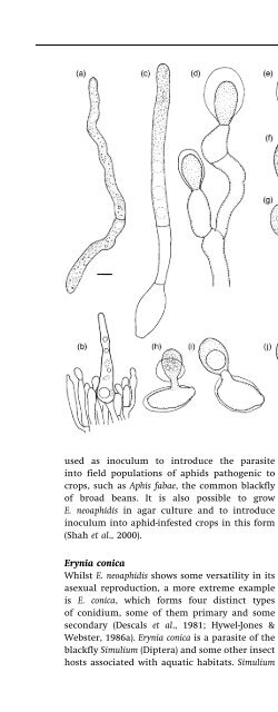 Introduction to Fungi, Third Edition