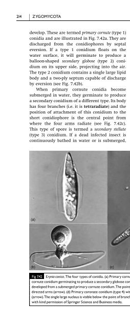 Introduction to Fungi, Third Edition