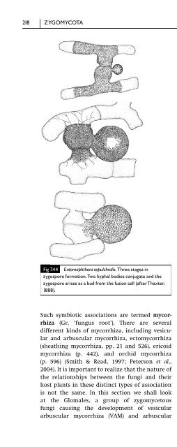 Introduction to Fungi, Third Edition