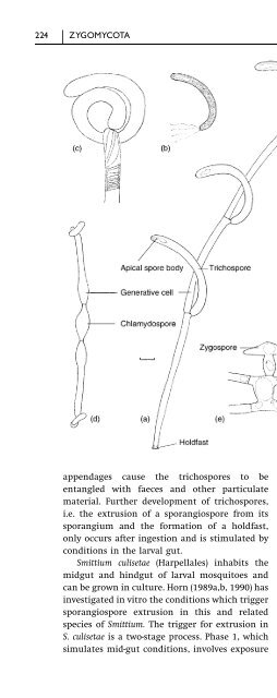 Introduction to Fungi, Third Edition