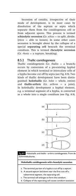 Introduction to Fungi, Third Edition