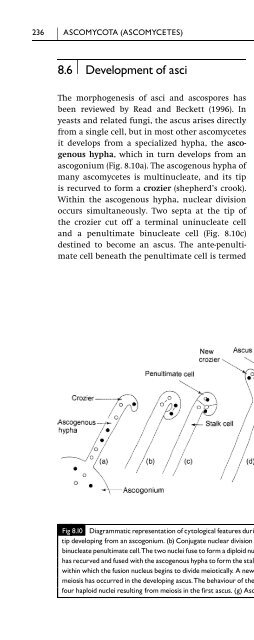 Introduction to Fungi, Third Edition