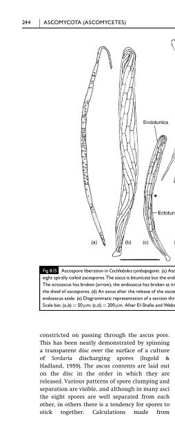 Introduction to Fungi, Third Edition