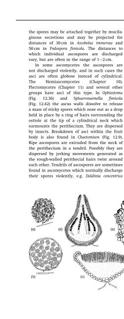 Introduction to Fungi, Third Edition