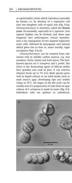 Introduction to Fungi, Third Edition