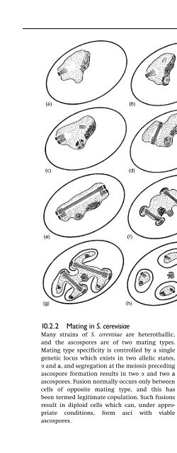 Introduction to Fungi, Third Edition