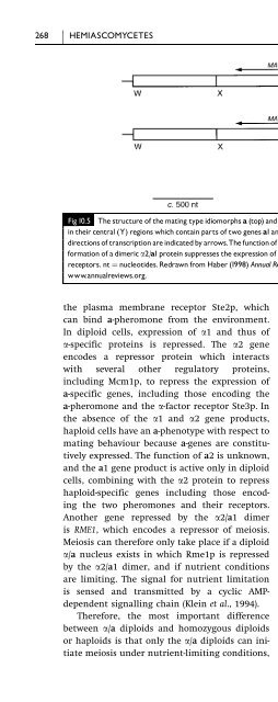 Introduction to Fungi, Third Edition