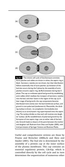 Introduction to Fungi, Third Edition