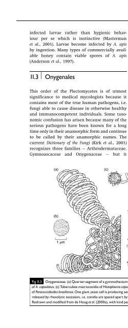 Introduction to Fungi, Third Edition