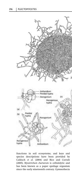 Introduction to Fungi, Third Edition