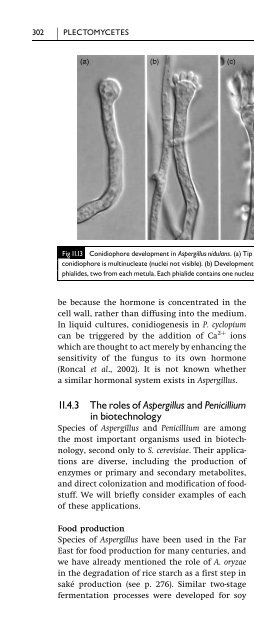 Introduction to Fungi, Third Edition