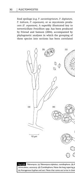 Introduction to Fungi, Third Edition