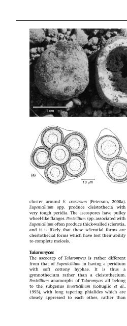 Introduction to Fungi, Third Edition