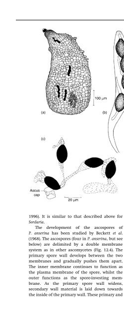 Introduction to Fungi, Third Edition