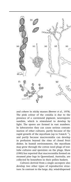 Introduction to Fungi, Third Edition