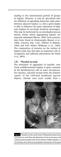 Introduction to Fungi, Third Edition