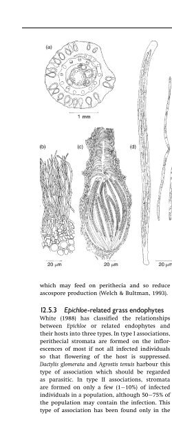 Introduction to Fungi, Third Edition