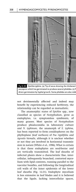 Introduction to Fungi, Third Edition