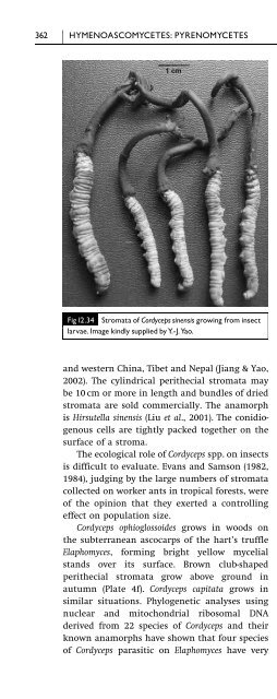 Introduction to Fungi, Third Edition