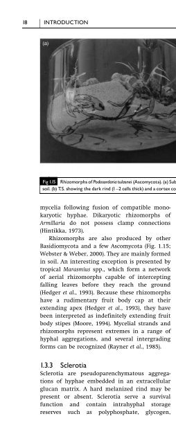 Introduction to Fungi, Third Edition