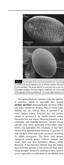 Introduction to Fungi, Third Edition