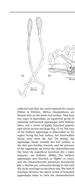 Introduction to Fungi, Third Edition