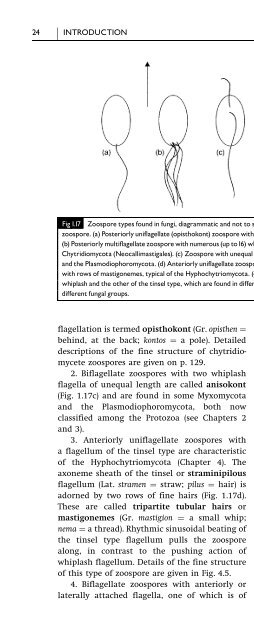 Introduction to Fungi, Third Edition